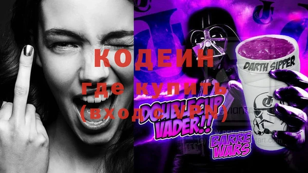 бошки Снежногорск