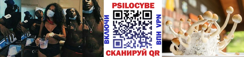 Галлюциногенные грибы прущие грибы  OMG сайт  Дальнереченск 